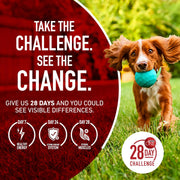 Purina ONE SmartBlend Natural Sensitive Systems, Digestive Health, and Limited Ingredient Formulas Adult Dog Food