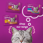 Whiskas 1+ Meaty Selection in Jelly 6 x 400 g Cans, Adult Cat Wet Food, Pack of 4