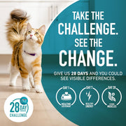 Purina ONE - Indoor Hairball & Healthy Weight Management - 3.5lb