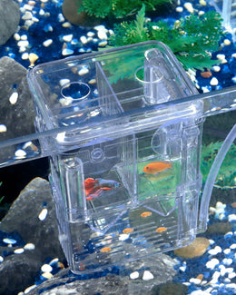 Pawfly Aquarium Fish Breeding Box with Water Circulation, Transparent Plastic Breeder Box for Fish Tank, Fry Hatchery Incubator Hatching Box for Baby Fish Shrimp Small Isolation Box for Fish Guppy