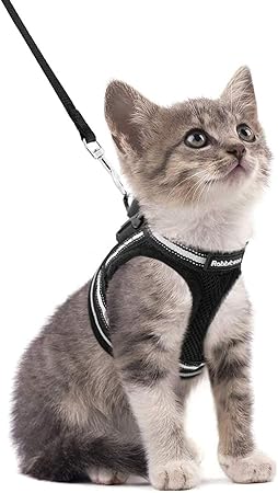 rabbitgoo Cat Harness and Lead Set for Walking Adjustable Soft Kitten Harness and Lead Set Vest with Reflective Strip for Extra Small Cats Escape Proof, Comfortable Outdoor Pet Vest, Black, S