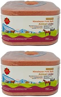2x Compressed Himalayan Animal Horse Lick 2.5 KG | Natural Pink Salt, N with strong hanging Rope Suitable for all Animals 2.5 kg Salt l Product from Pakistan