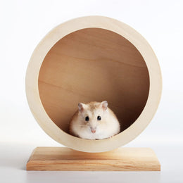 Wooden Hamster Wheel, Small Pets Exercise Wheel, Mute Running Spinner Wheel for Rest And Exercise of Syrian Hamsters, Gerbils, Rat, Mice, Dwarf, Small Chinchilla (S,Φ/ 15cm)