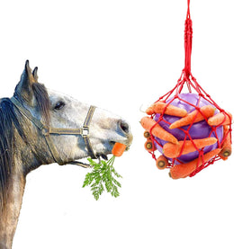 Tirifer Carrot Feeder Toy Hanging Feeding Toy for Horse Goat Sheep Relieve Stress, Stable Stall Paddock Rest