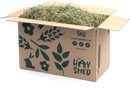 Rye Grass Hay for Small Pets – Long Stem Feeding Grass Barn Dried, Dust Free, High Fibre, Natural Green Stem Feeding Hay for Rabbits, Guinea Pigs, Chinchillas – 2.5kg