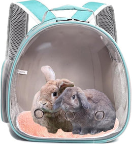 Bearded Dragon Travel Carrier, Space Capsule Clear Bubble Window Small Animal Travel Backpack for Hedgehog Rat Parrot Bird Bearded Dragon, Snake,Airline Approved (Green, Backpack)