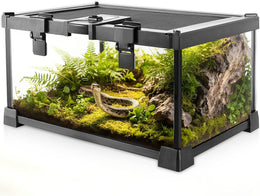 Mini Reptile Glass Terrarium Vivarium 12'' x 8'' x 6'' Full View Tank Small Amphibians Glass Habitat Cage with Feeding Slot & Box Lock Buckle