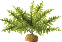Exo Terra Boston Fern Small