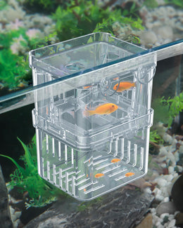 Pawfly Aquarium Fish Breeding Box Transparent Plastic Breeder Box for Fish Tank Fry Hatchery Incubator Hatching Box for Baby Fish Shrimp Small Isolation Box for Aggressive Fish Guppy