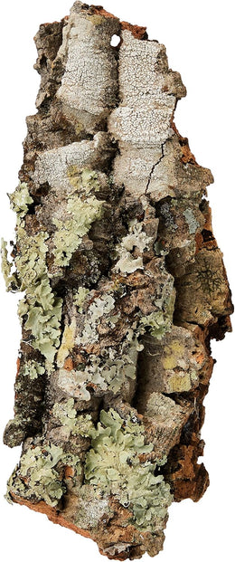 Komodo Mini Habitat Bark Mould Resistant Natural Shelter Hiding Basking Spot for Reptiles terrarium Encourages Natural Instincts