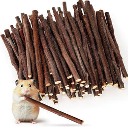 200g Apple Sticks Small Animals Molar Wood Treats Toys for Chinchillas Guinea Pig Rabbits Hamster Gerbil Parrot Bunny Chew Stick Toys