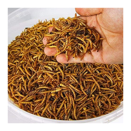 GardenersDream Dried Mealworms | Premium Garden Wild Bird Food Mix Balanced Formula | Protein-Rich Great Source of Energy | Contains Beneficial Mixed Vitamins | Large Variety (1L Tub)