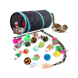 Speedy Panther 21 Pcs Cat Toys for Indoor Cats Collapsible Cat Tunnel Interactive Feather Teaser Wand Ball Toy for Kitten Cats