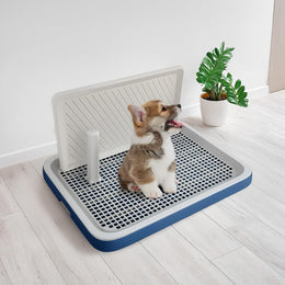 Pawise Dog Potty Training Toilet with Wall Column & Removable Post, Puppy Pad Holder, Pee Pad Tray for Training Pads, Mesh Training Tray for Easy Cleaning ((50 * 39) CM)