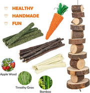 Labeol 27 PCS Rabbit Toys Set for Teeth Care and Exercise, Natural Wooden Treats for Hamster Guinea Pig Rabbit Rat Chinchilla and Gerbils, Boredom Breaker Accessories for Small Animals
