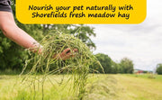 Shorefields, Small Compact, Meadow Hay, Bagged, 10kg