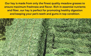 Shorefields, Small Compact, Meadow Hay, Bagged, 10kg