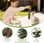 4pcs Rabbit Toys Set, 4 Styles Rabbit Chew Toys,Toys Boredom Breaker, Small Animal Toys for Hamster, Guinea Pig and Chinchilla