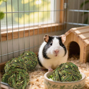 Bunny Grass Toy 4 Pcs Natural Timothy Grass Guinea Pig Toys Rabbit Chew Toys Hamster Ball timothy hay for Rabbits Hamster Guinea Pigs Gerbils