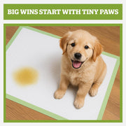 Pogi's Puppy Training Pads with Sticky Tabs – Eco-Friendly, Odour Blocking & Super Absorbent – 20-Pack (45 × 60 cm)
