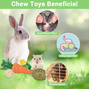 21-Pack Rabbit Toys Set, Natural Rabbit Chew Toys Boredom Breakers for Bunny, Hamster, Guinea Pig and Chinchilla, Apple Wood Timothy Hay Sticks Treating for Rabbit and Small Animals Teething