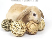 9 Pcs Rabbit Chew Toys - Small Animal Activity Play Chew Grass Balls & Rolling Toys for Bunny Rabbits, Hamster, Guinea Pigs, Chinchilla, Squirrels, Rats, Mice