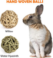 Labeol 27 PCS Rabbit Toys Set for Teeth Care and Exercise, Natural Wooden Treats for Hamster Guinea Pig Rabbit Rat Chinchilla and Gerbils, Boredom Breaker Accessories for Small Animals