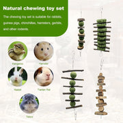 4pcs Rabbit Toys Set, 4 Styles Rabbit Chew Toys,Toys Boredom Breaker, Small Animal Toys for Hamster, Guinea Pig and Chinchilla