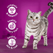 Whiskas 1+ Meaty Selection in Jelly 6 x 400 g Cans, Adult Cat Wet Food, Pack of 4