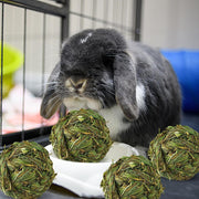 Bunny Grass Toy 4 Pcs Natural Timothy Grass Guinea Pig Toys Rabbit Chew Toys Hamster Ball timothy hay for Rabbits Hamster Guinea Pigs Gerbils