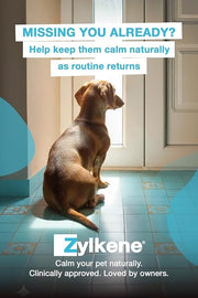 Zylkene Calming Chews for Small Dogs up to 10kg | Promotes Relaxation | Helps Pets cope with short-term challenging situations | Perfect for on the go, holidays, travelling, fireworks | 14 Chews