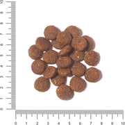 The Hunger of the Wolf Dry Dog Food - For All Breeds, Delicate Formula with Lamb and Rice, Puppy and Junior Dogs - 14 kg