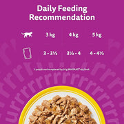 WHISKAS 1+ Cat Pouches Poultry Feasts in Jelly 12 x 85 g