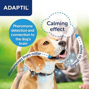 Adaptil Collar for Small Dogs