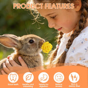 Natural Rabbit Toys Boredom Breaker 21-piece Set, Chew and Activity Toys for Rabbits Hamsters Guinea Pigs, Wooden and Straw Small Animal Tools for Teeth Grinding Play Enrichment Daily Exercise