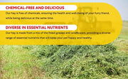 Shorefields, Small Compact, Meadow Hay, Bagged, 10kg