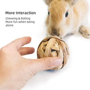 9 Pcs Rabbit Chew Toys - Small Animal Activity Play Chew Grass Balls & Rolling Toys for Bunny Rabbits, Hamster, Guinea Pigs, Chinchilla, Squirrels, Rats, Mice