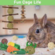21-Pack Rabbit Toys Set, Natural Rabbit Chew Toys Boredom Breakers for Bunny, Hamster, Guinea Pig and Chinchilla, Apple Wood Timothy Hay Sticks Treating for Rabbit and Small Animals Teething
