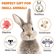 Labeol 27 PCS Rabbit Toys Set for Teeth Care and Exercise, Natural Wooden Treats for Hamster Guinea Pig Rabbit Rat Chinchilla and Gerbils, Boredom Breaker Accessories for Small Animals