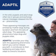 Adaptil Collar for Small Dogs