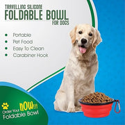 ARTISTRY Collapsible Dog Bowl Pack of 2 - Portable Travel Bowl for Small Pets, Silicone, Foldable with Metal Hook (Red/Yellow)