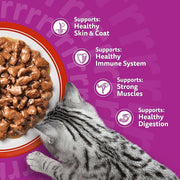 whiskas 1+ Adult Classic Selection in Gravy 84 Pouches, Adult Wet Cat Food, Megapack (84 x 85 g)