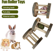 Hamster Rabbit Chew Toy Natural Wooden Play Toy, Rabbit Toys, Wood Teeth Grinding with Bell for Parrot,Chinchilla, Guinea Pig, Hamster Small Animals Toys for Pet Supplies