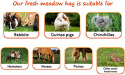 Shorefields, Small Compact, Meadow Hay, Bagged, 10kg