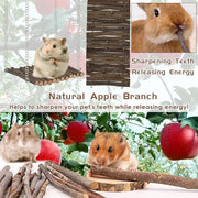Hamster Chew Toys Set, Small Animal Teething Toys, Dwarf Hamster Toys, Guinea Pig Chew toys, Boredom Breaker Cage Accessories - Wood Sticks Ladder Bell Roller, for Rat Gerbil Guinea Pigs