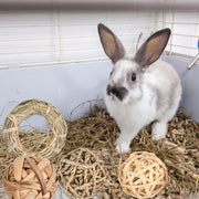 12Pcs Rabbit Toys, Rabbit Treats Chew Toys for Teeth, Bunny Boredom Breakers, Small Pets Chew Balls Grass Balls Natural Toys for Rabbits Chinchilla Bunnies Gerbils and Hamster