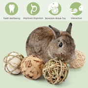 9 Pcs Rabbit Chew Toys - Small Animal Activity Play Chew Grass Balls & Rolling Toys for Bunny Rabbits, Hamster, Guinea Pigs, Chinchilla, Squirrels, Rats, Mice