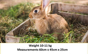 Shorefields, Small Compact, Meadow Hay, Bagged, 10kg