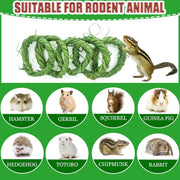 28PCS Rabbit Toys Guinea Pig Toys，Timothy Hay Chew Sticks for Teeth，Rabbit Treats Boredom Breaker Accessories for Chinchillas, Guinea Pigs, Hamsters, Rats，Bunny Teeth Care (Green)