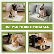 Pogi's Puppy Training Pads with Sticky Tabs – Eco-Friendly, Odour Blocking & Super Absorbent – 20-Pack (45 × 60 cm)